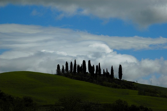 orcia_b